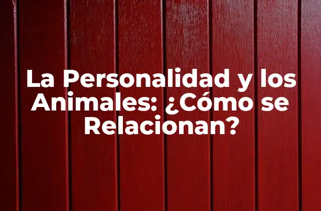 La Personalidad y los Animales: ¿cómo Se Relacionan?