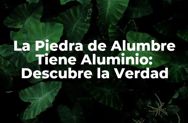 La Piedra de Alumbre Tiene Aluminio: Descubre la Verdad