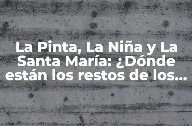 La Pinta, la Niña y la Santa María: ¿dónde Están los Restos de los Barcos de Colón?