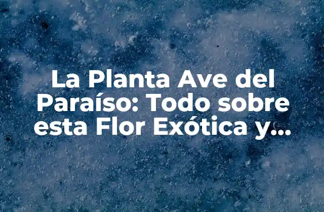 La Planta Ave Del Paraíso: Todo sobre Esta Flor Exótica y Hermosa