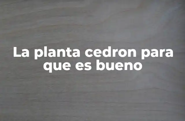 La Planta Cedron para que es Bueno