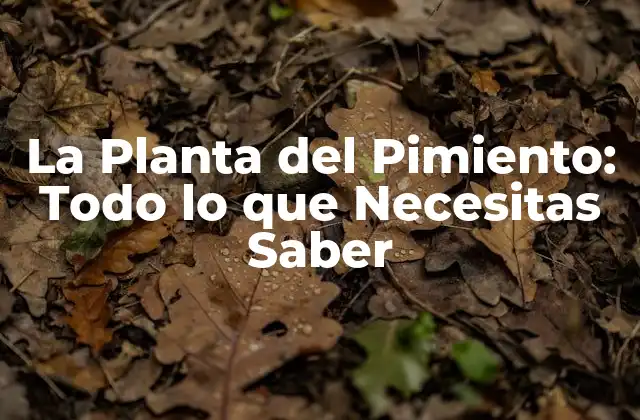 La Planta Del Pimiento: Todo Lo que Necesitas Saber