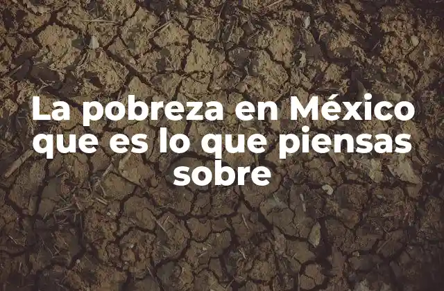 La Pobreza en México que es Lo que Piensas sobre