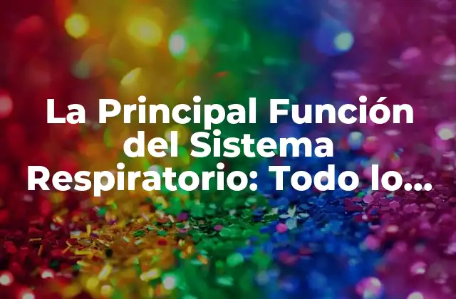 ¿Cuál es la Principal Función del Sistema Respiratorio?