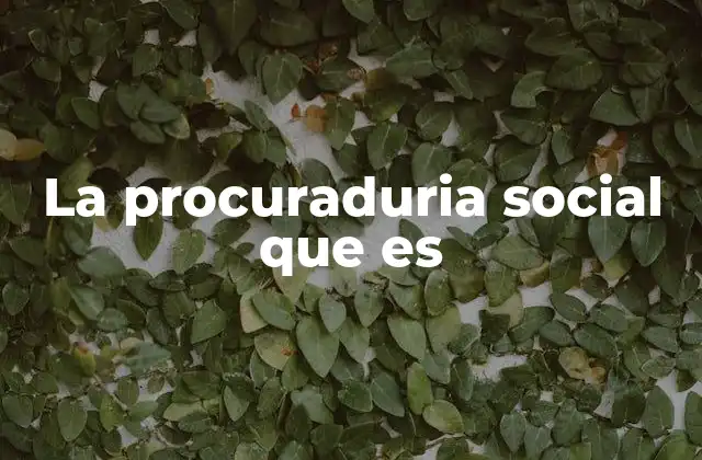 La Procuraduria Social que es