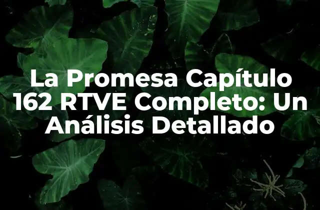 La Promesa Capítulo 162 Rtve Completo: un Análisis Detallado