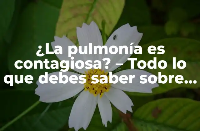 ¿la Pulmonía es Contagiosa? – Todo Lo que Debes Saber sobre la Transmisión de la Neumonía