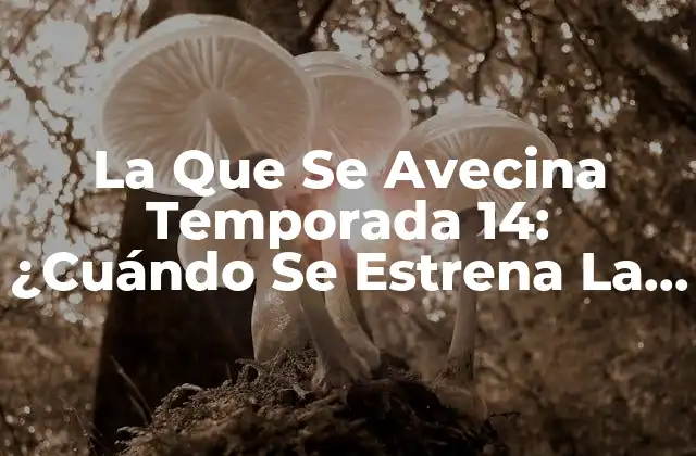 La que Se Avecina Temporada 14: ¿cuándo Se Estrena la Nueva Temporada?