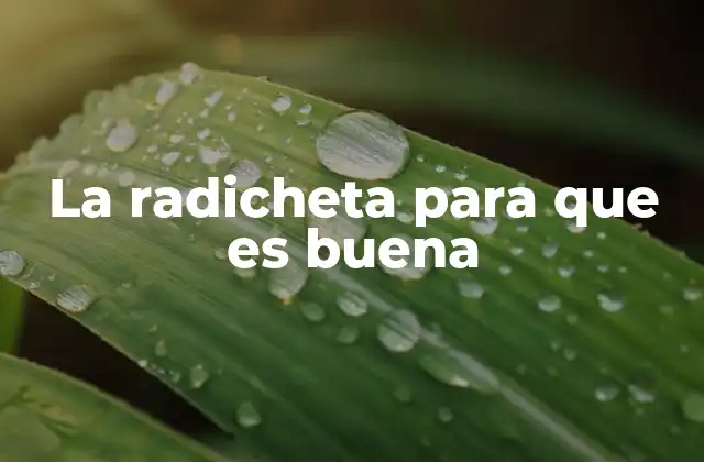 Beneficios de la radicheta en la dieta