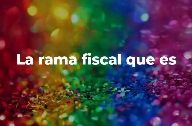 La Rama Fiscal que es