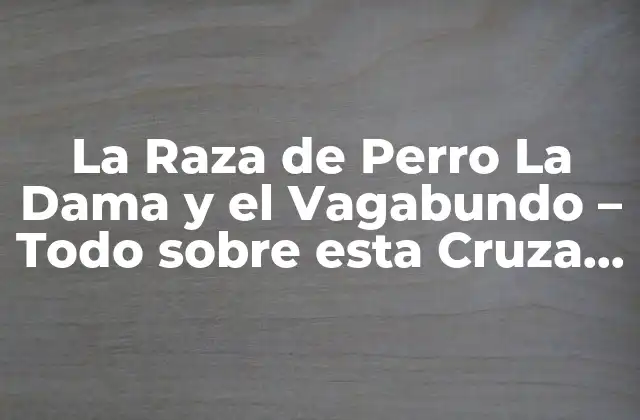 La Raza de Perro la Dama y el Vagabundo – Todo sobre Esta Cruza Única