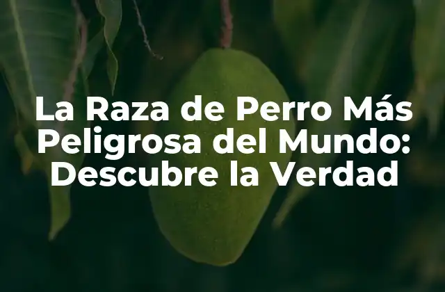 La Raza de Perro Más Peligrosa Del Mundo: Descubre la Verdad