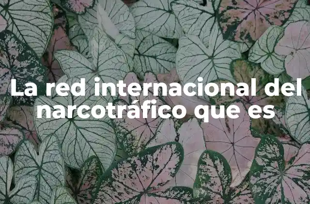 La Red Internacional Del Narcotráfico que es