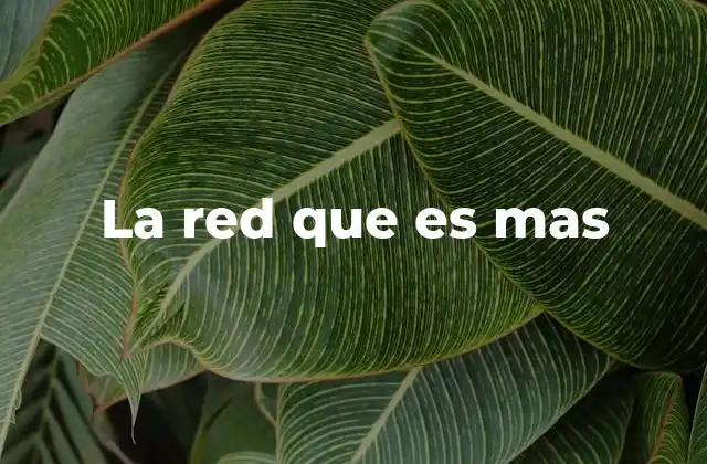 La Red que es mas