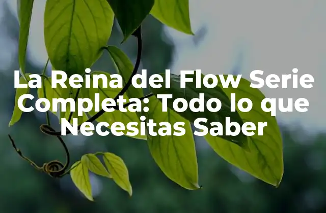 La Reina Del Flow Serie Completa: Todo Lo que Necesitas Saber
