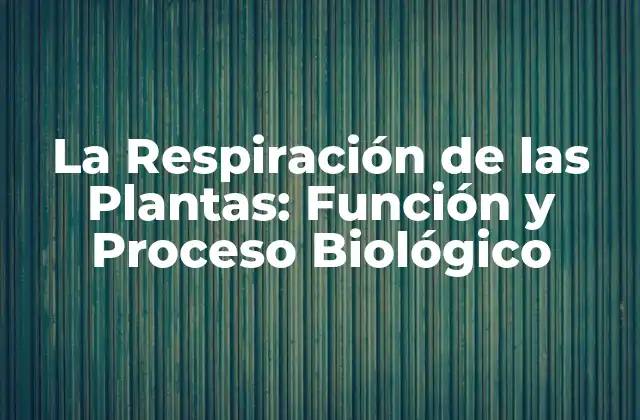 La Respiración de las Plantas: Función y Proceso Biológico