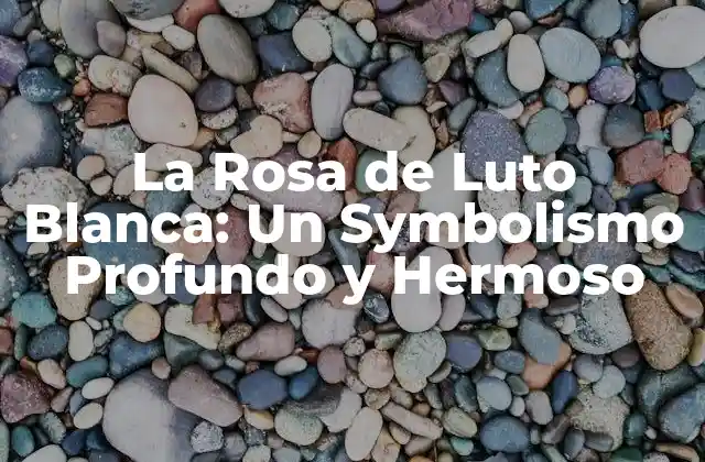 La Rosa de Luto Blanca: un Symbolismo Profundo y Hermoso