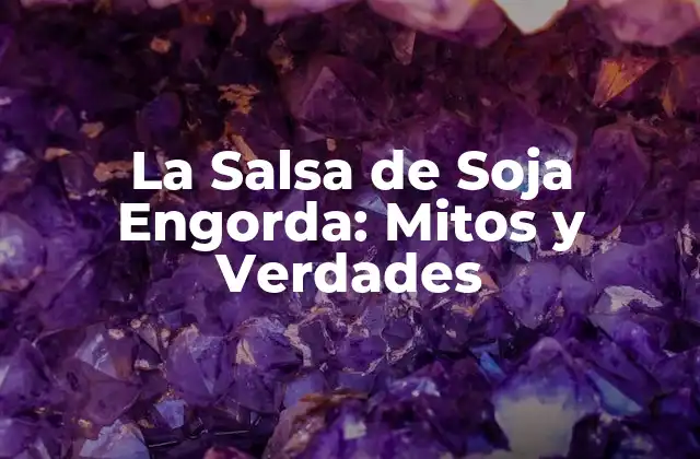 La Salsa de Soja Engorda: Mitos y Verdades 2 ¿Qué es la Salsa de Soja y Cómo se Produce?