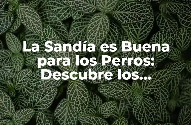 La Sandía es Buena para los Perros: Descubre los Beneficios Caninos