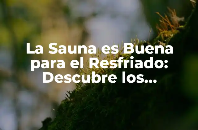 La Sauna es Buena para el Resfriado: Descubre los Beneficios