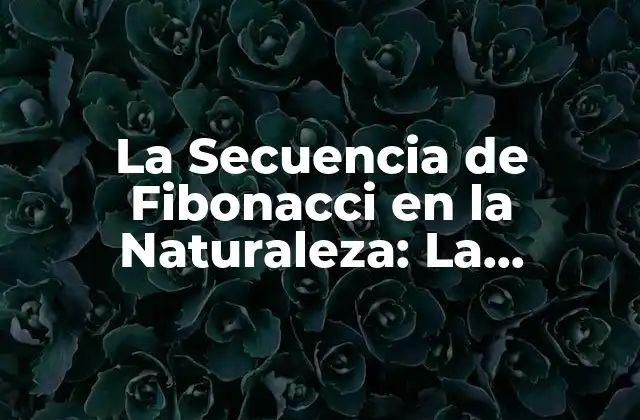 La Secuencia de Fibonacci en la Naturaleza: la Matemática Oculta Detrás de la Creación