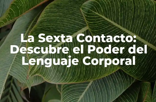 ¿Qué es la Sexta Contacto?