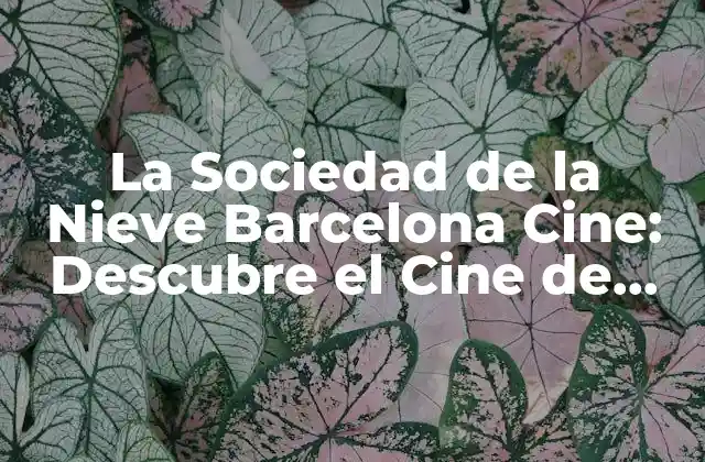 La Sociedad de la Nieve Barcelona Cine: Descubre el Cine de Autor en España