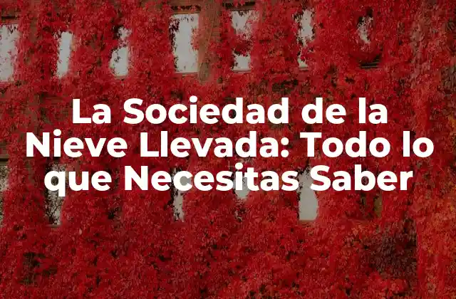 La Sociedad de la Nieve Llevada: Todo Lo que Necesitas Saber 2 ¿Qué es la Sociedad de la Nieve Llevada?