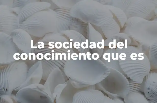 La Sociedad Del Conocimiento que es