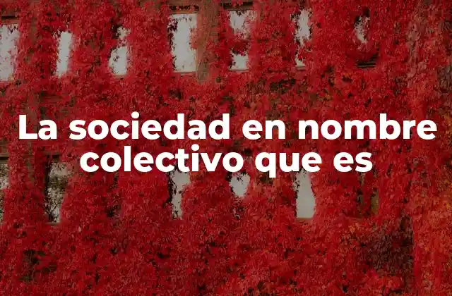 La Sociedad en Nombre Colectivo que es
