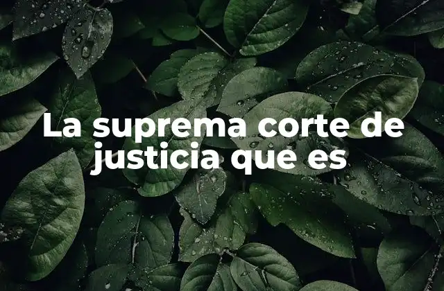 La Suprema Corte de Justicia que es