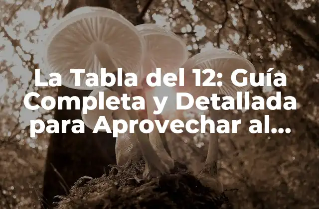 La Tabla Del 12: Guía Completa y Detallada para Aprovechar Al Máximo