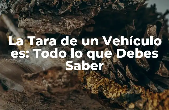 La Tara de un Vehículo Es: Todo Lo que Debes Saber