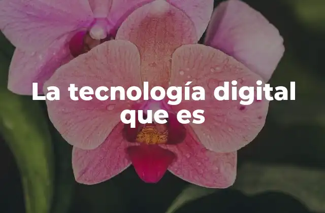 El impacto de la tecnología digital en la sociedad