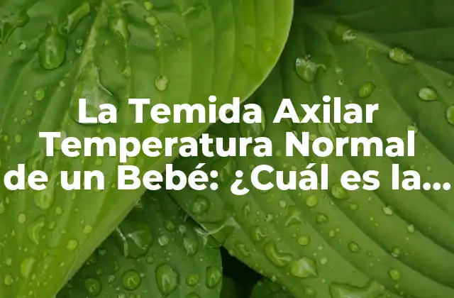 La Temida Axilar Temperatura Normal de un Bebé: ¿cuál es la Rango Seguro?