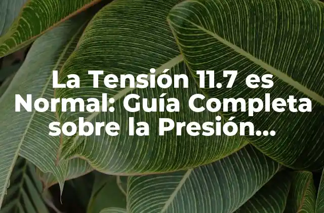La Tensión 11.7 es Normal: Guía Completa sobre la Presión Arterial