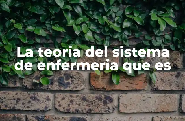 La Teoria Del Sistema de Enfermeria que es