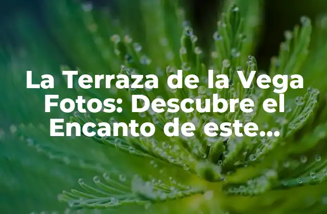 La Terraza de la Vega Fotos: Descubre el Encanto de Este Iconico Lugar