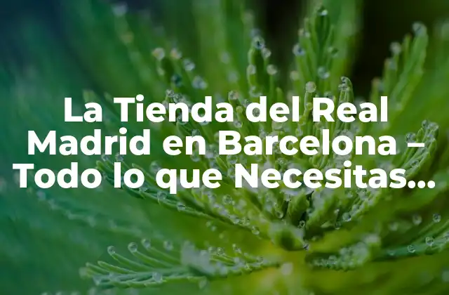 La Tienda Del Real Madrid en Barcelona – Todo Lo que Necesitas Saber