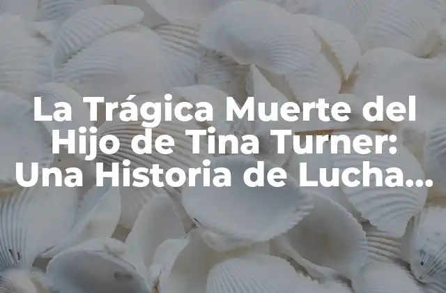 La Trágica Muerte Del Hijo de Tina Turner: una Historia de Lucha y Pérdida