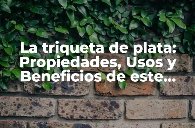 La Triqueta de Plata: Propiedades, Usos y Beneficios de Este Metal Precioso