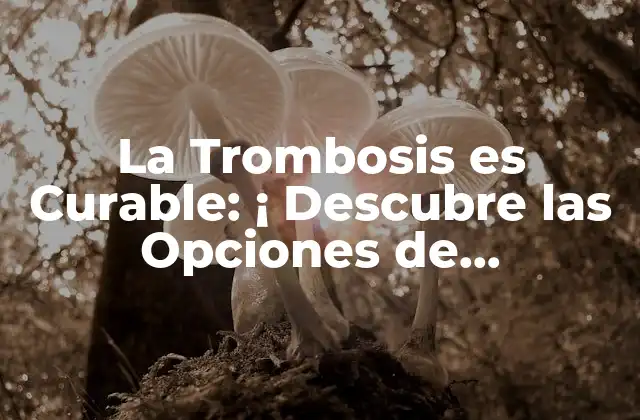 La Trombosis es Curable: ¡ Descubre las Opciones de Tratamiento!