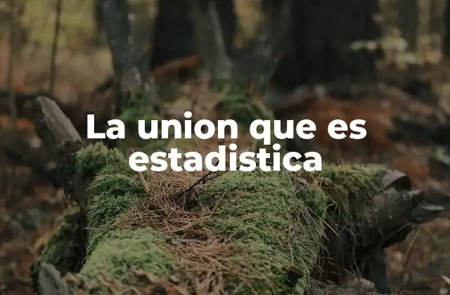 La Union que es Estadistica 2 La importancia de combinar conjuntos en análisis estadístico