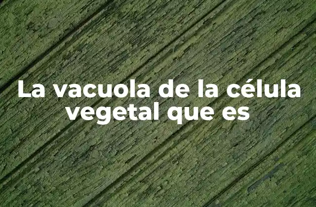 La Vacuola de la Célula Vegetal que es