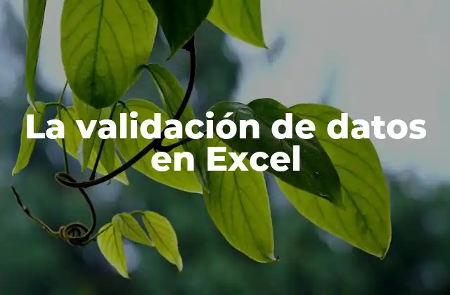 La Validación de Datos en Excel