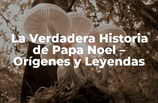 La Verdadera Historia de Papa Noel - Orígenes y Leyendas 2 San Nicolás, el Santo Patrón de los Niños