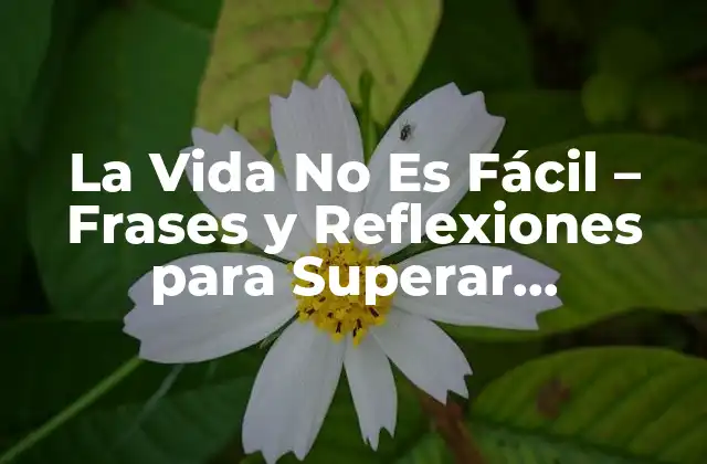 La Vida No es Fácil – Frases y Reflexiones para Superar Obstáculos