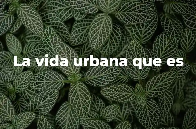La Vida Urbana que es