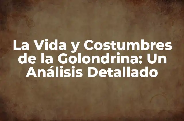 La Vida y Costumbres de la Golondrina: un Análisis Detallado