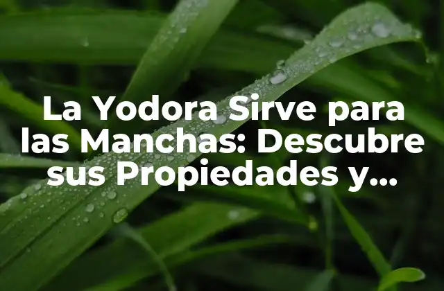 La Yodora Sirve para las Manchas: Descubre Sus Propiedades y Beneficios
